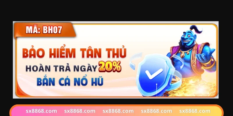 Bảo hiểm 20% dành cho tân thủ