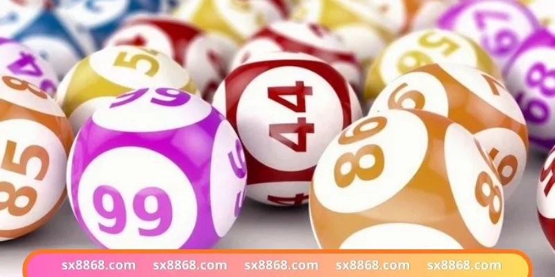 Lợi ích hấp dẫn khi chọn khung 36 con